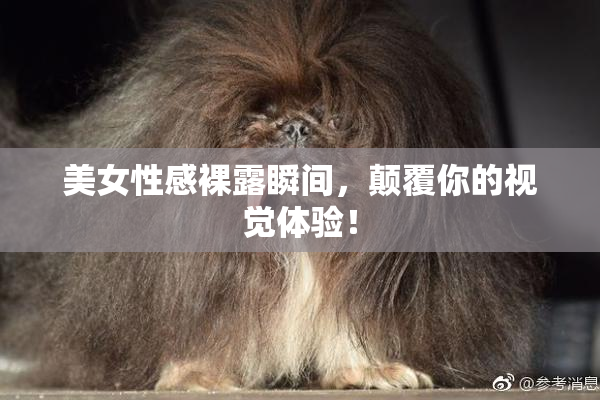 美女性感裸露瞬间，颠覆你的视觉体验！