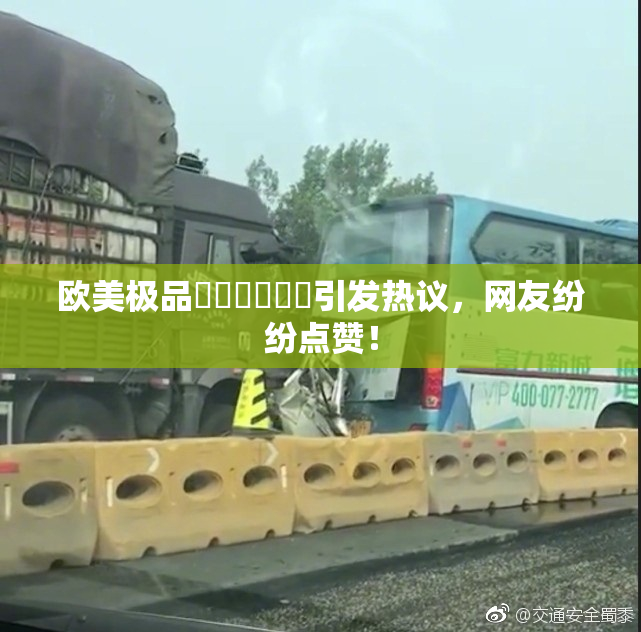 欧美极品❌‌❌‌❌‌引发热议，网友纷纷点赞！
