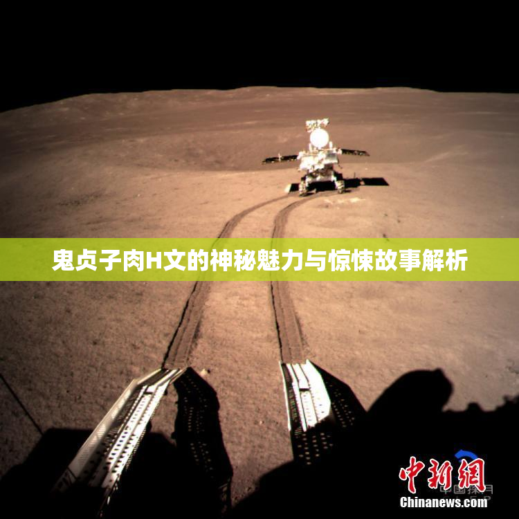 鬼贞子肉H文的神秘魅力与惊悚故事解析