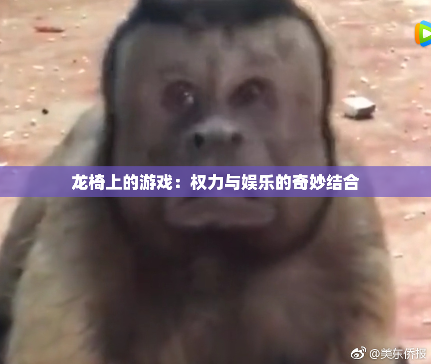 龙椅上的游戏：权力与娱乐的奇妙结合