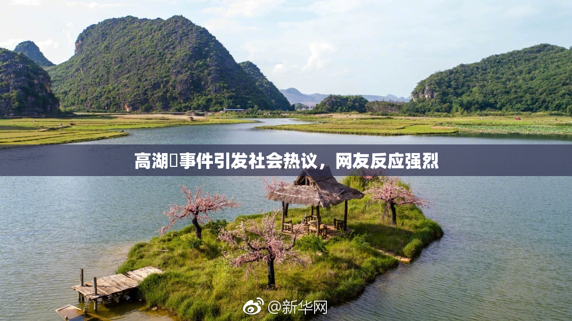 高湖婬事件引发社会热议，网友反应强烈