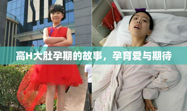 高H大肚孕期的故事，孕育爱与期待