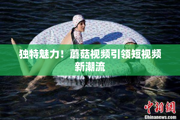 独特魅力！蘑菇视频引领短视频新潮流