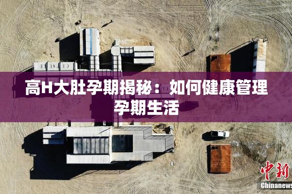 高H大肚孕期揭秘：如何健康管理孕期生活