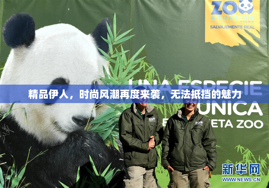 精品伊人，时尚风潮再度来袭，无法抵挡的魅力