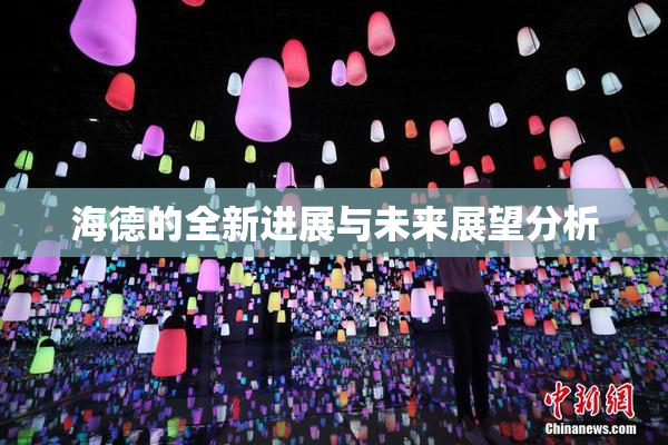 海德的全新进展与未来展望分析