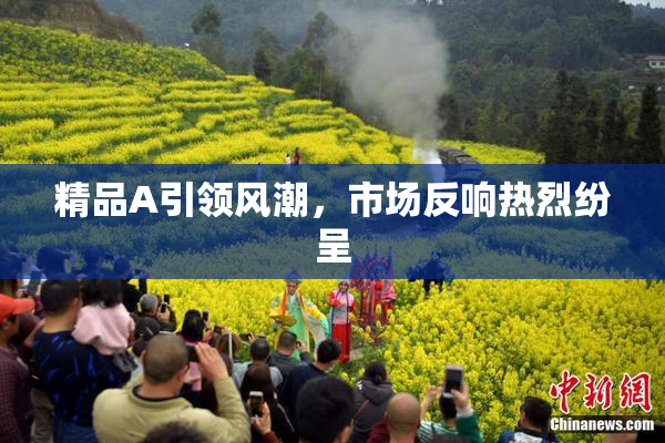 精品A引领风潮，市场反响热烈纷呈
