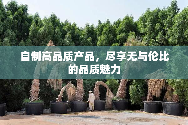 自制高品质产品，尽享无与伦比的品质魅力