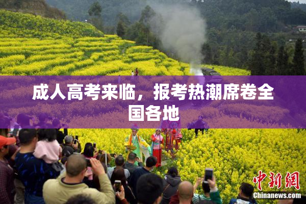 成人高考来临，报考热潮席卷全国各地