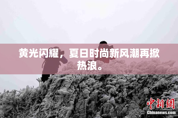黄光闪耀，夏日时尚新风潮再掀热浪。