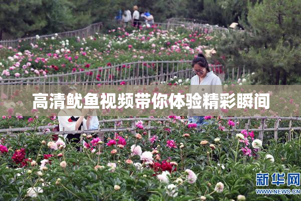 高清鱿鱼视频带你体验精彩瞬间