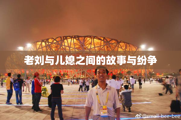 老刘与儿媳之间的故事与纷争