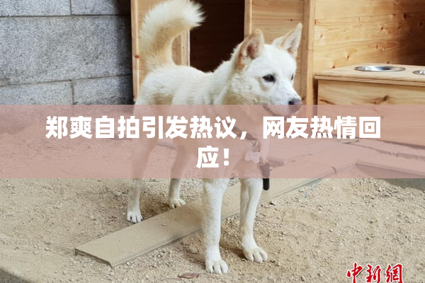 郑爽自拍引发热议，网友热情回应！