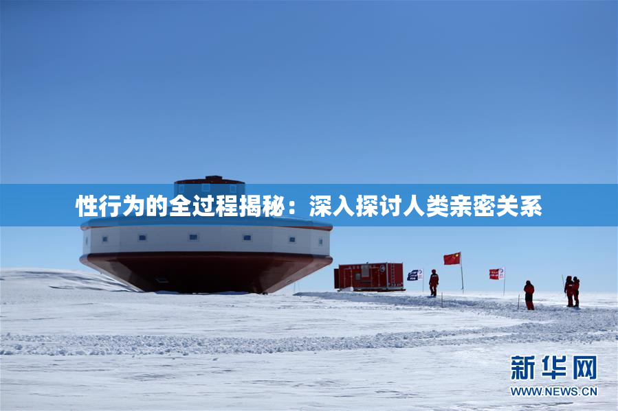 性行为的全过程揭秘：深入探讨人类亲密关系