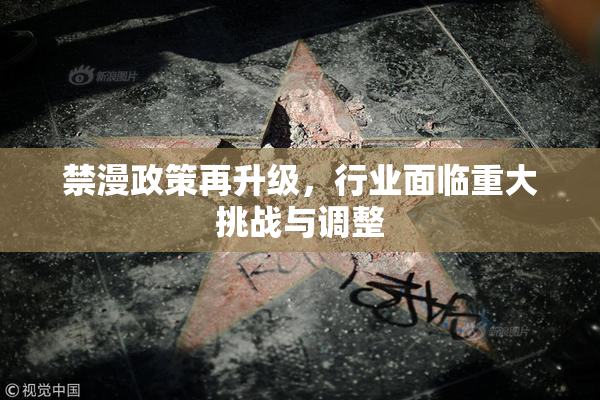禁漫政策再升级，行业面临重大挑战与调整