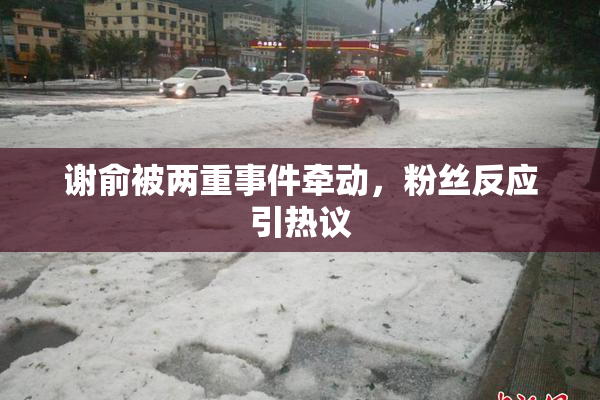 谢俞被两重事件牵动，粉丝反应引热议