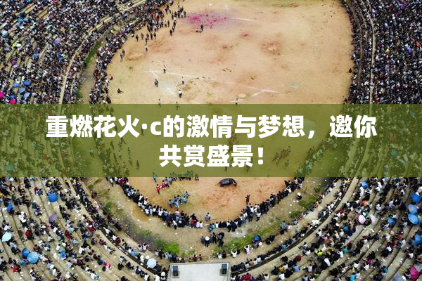 重燃花火·c的激情与梦想，邀你共赏盛景！