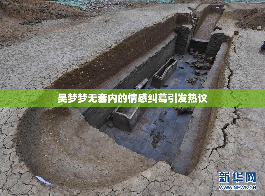吴梦梦无套内的情感纠葛引发热议