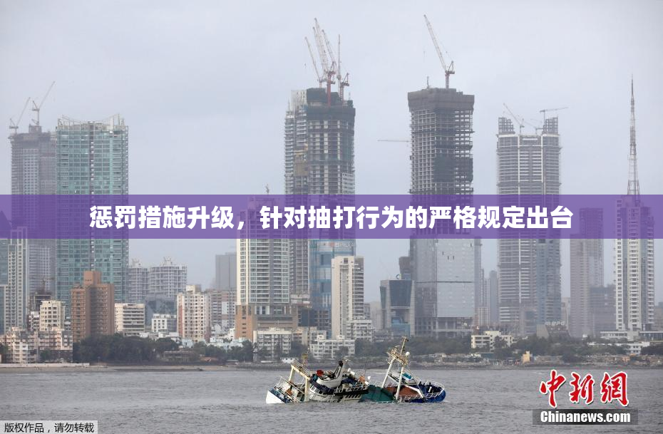 惩罚措施升级，针对抽打行为的严格规定出台