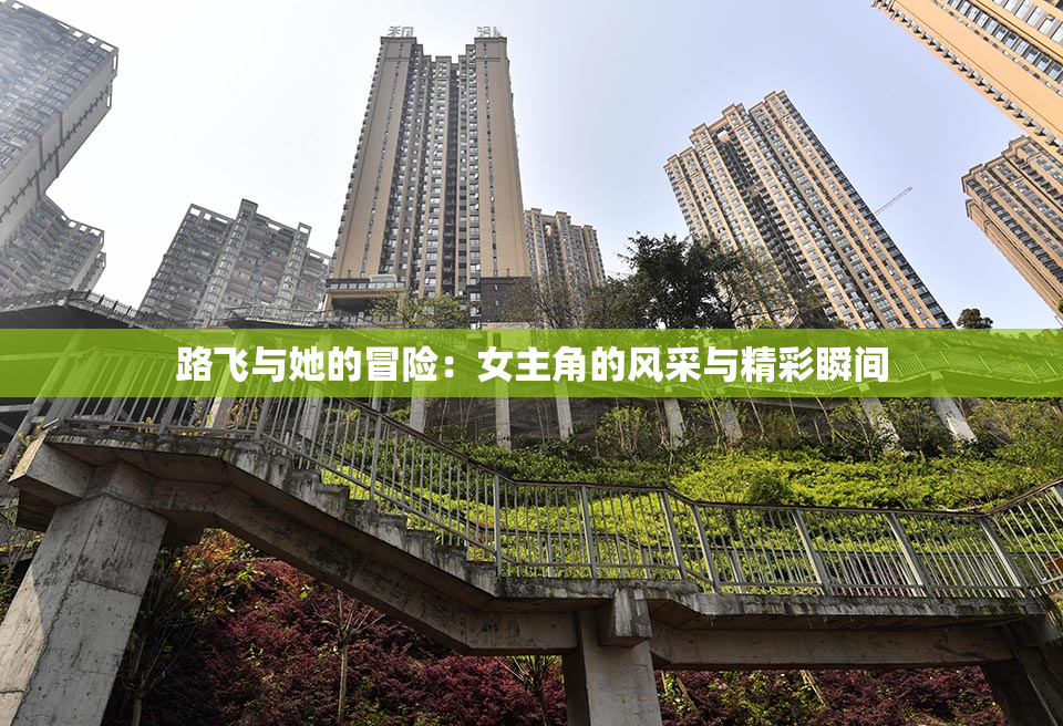 路飞与她的冒险：女主角的风采与精彩瞬间