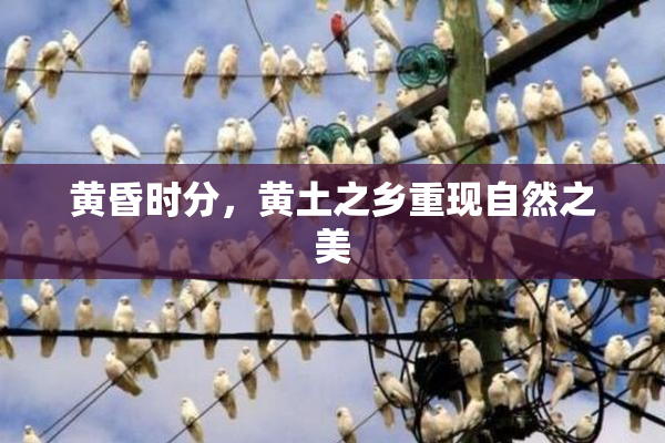 黄昏时分，黄土之乡重现自然之美
