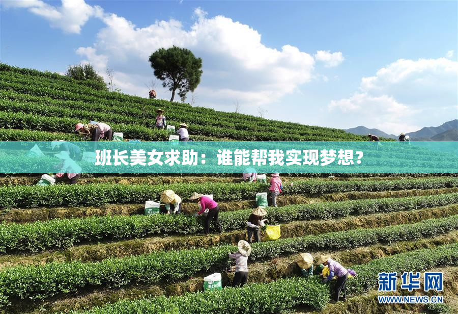 班长美女求助：谁能帮我实现梦想？