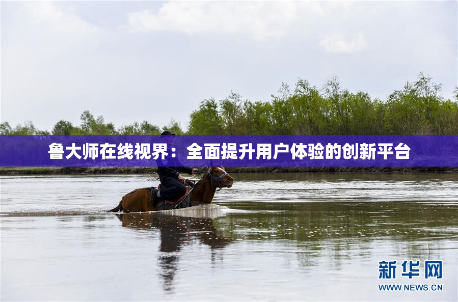 鲁大师在线视界：全面提升用户体验的创新平台