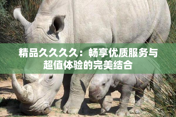 精品久久久久：畅享优质服务与超值体验的完美结合