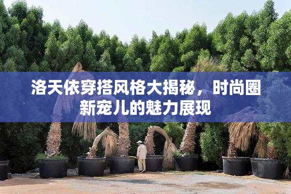 洛天依穿搭风格大揭秘，时尚圈新宠儿的魅力展现