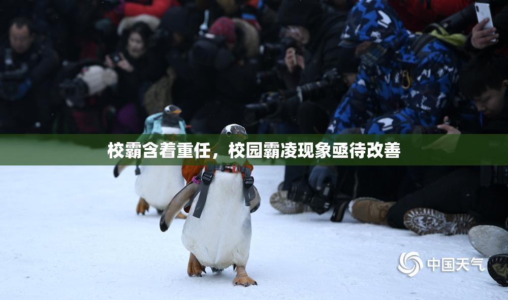 校霸含着重任，校园霸凌现象亟待改善