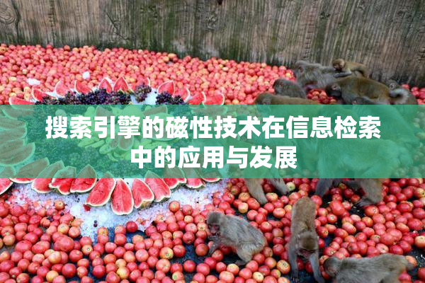 搜索引擎的磁性技术在信息检索中的应用与发展