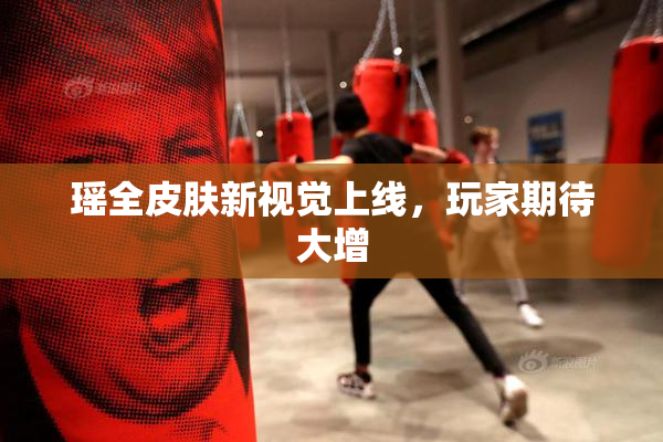 瑶全皮肤新视觉上线，玩家期待大增