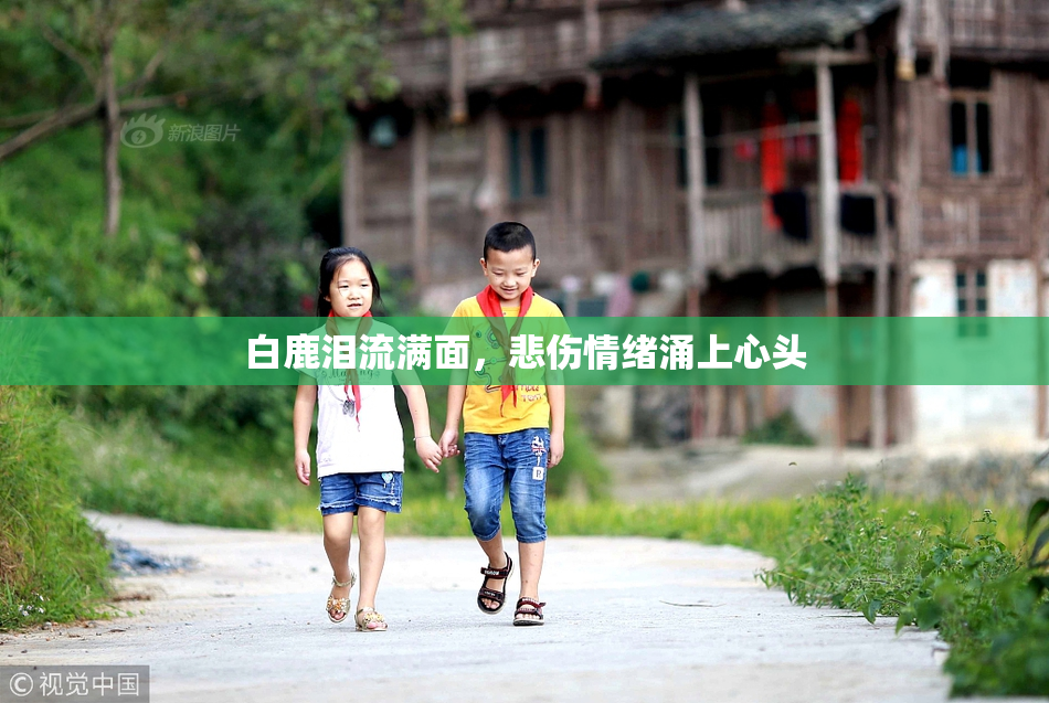 白鹿泪流满面，悲伤情绪涌上心头