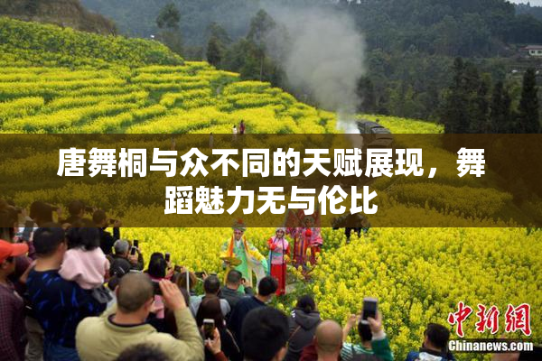 唐舞桐与众不同的天赋展现，舞蹈魅力无与伦比