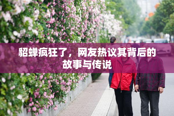 貂蝉疯狂了，网友热议其背后的故事与传说