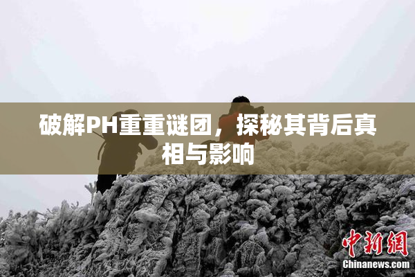 破解PH重重谜团，探秘其背后真相与影响