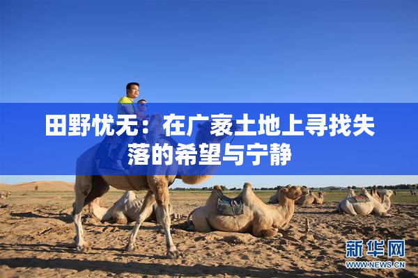田野忧无：在广袤土地上寻找失落的希望与宁静