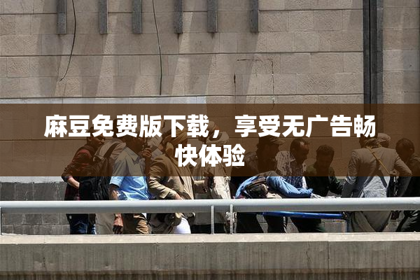 麻豆免费版下载，享受无广告畅快体验
