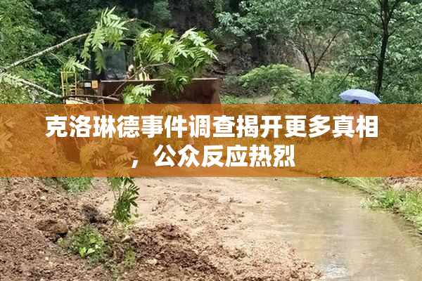 克洛琳德事件调查揭开更多真相，公众反应热烈