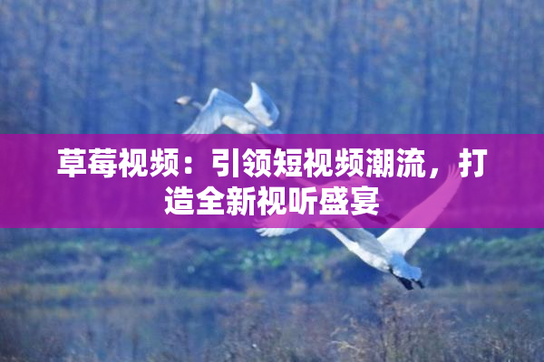 草莓视频：引领短视频潮流，打造全新视听盛宴