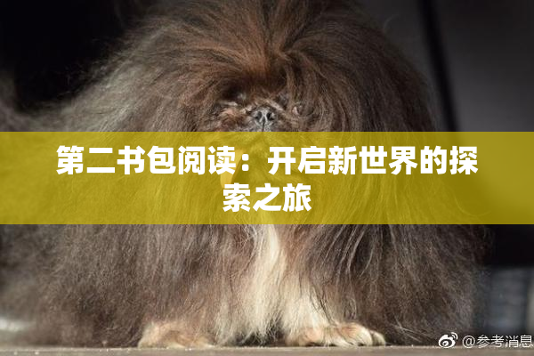 第二书包阅读：开启新世界的探索之旅