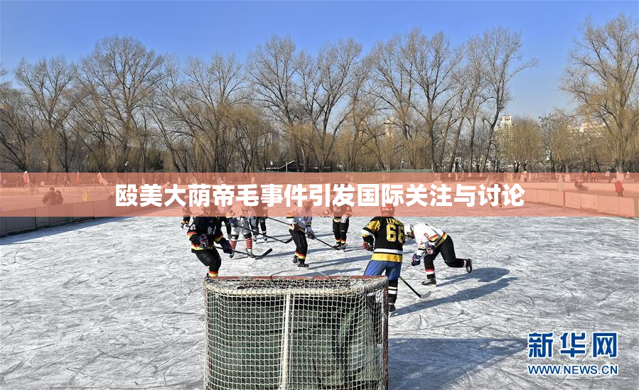 殴美大荫帝毛事件引发国际关注与讨论