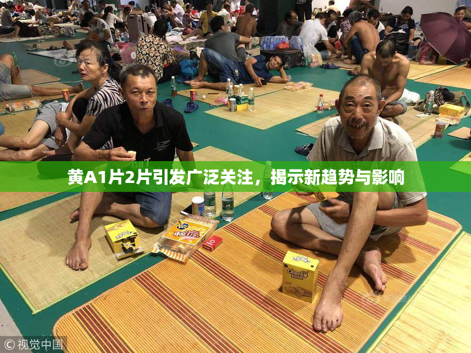 黄A1片2片引发广泛关注，揭示新趋势与影响