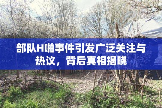 部队H啪事件引发广泛关注与热议，背后真相揭晓