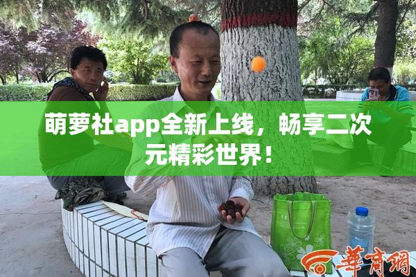萌萝社app全新上线，畅享二次元精彩世界！