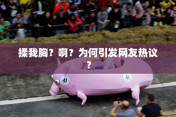 揉我胸？啊？为何引发网友热议？