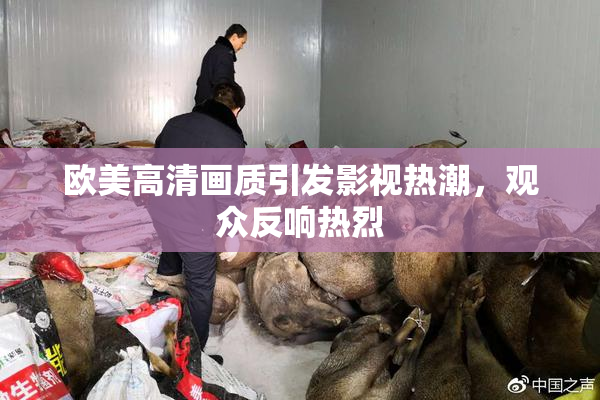 欧美高清画质引发影视热潮，观众反响热烈