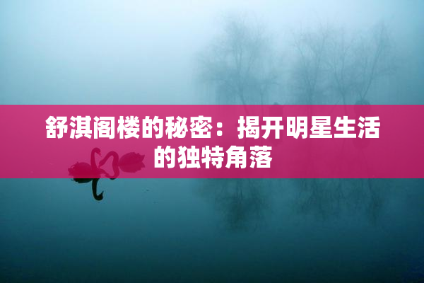 舒淇阁楼的秘密：揭开明星生活的独特角落