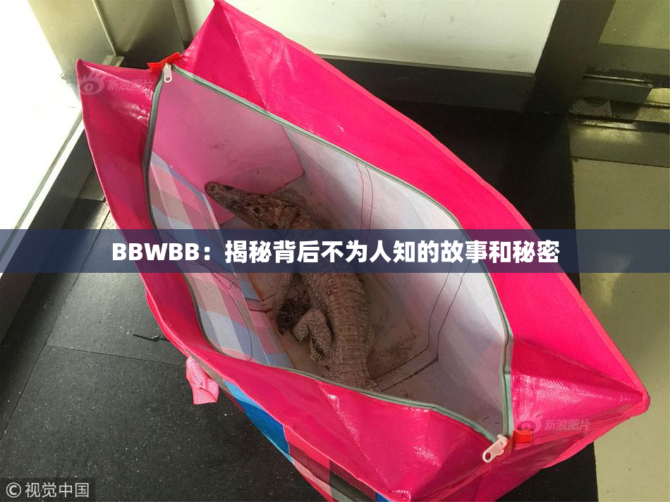 BBWBB：揭秘背后不为人知的故事和秘密