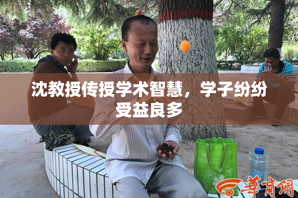 沈教授传授学术智慧，学子纷纷受益良多